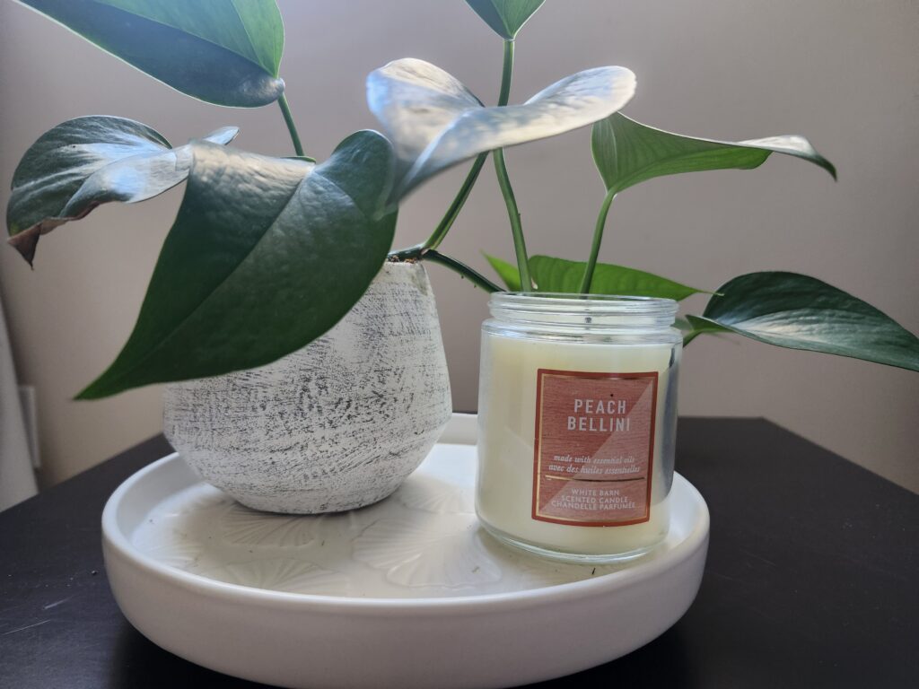 Pland and candle on a center piece on a side table